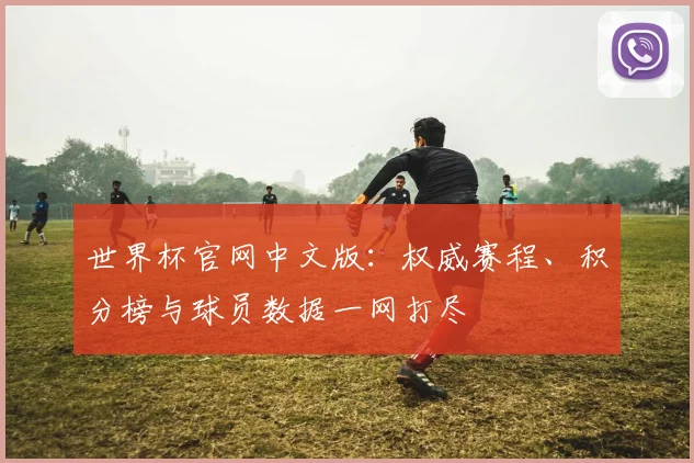 世界杯官网中文版：权威赛程、积分榜与球员数据一网打尽