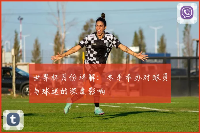 世界杯月份详解:冬季举办对球员与球迷的深度影响